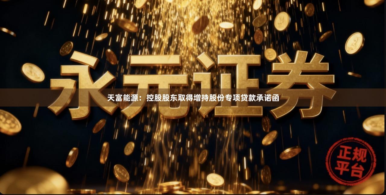 天富能源：控股股东取得增持股份专项贷款承诺函