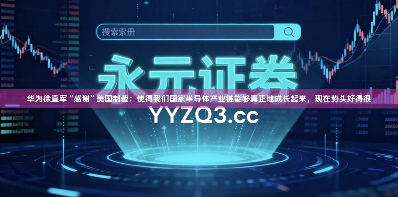华为徐直军“感谢”美国制裁：使得我们国家半导体产业链能够真正地成长起来，现在势头好得很